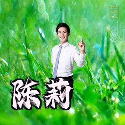 陈莉